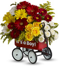 Baby's Wow Wagon from Flowers by Ramon of Lawton, OK